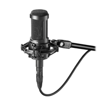 SIDE-ADDRESS MULTI-PATTERN CONDENSER MICROPHONE